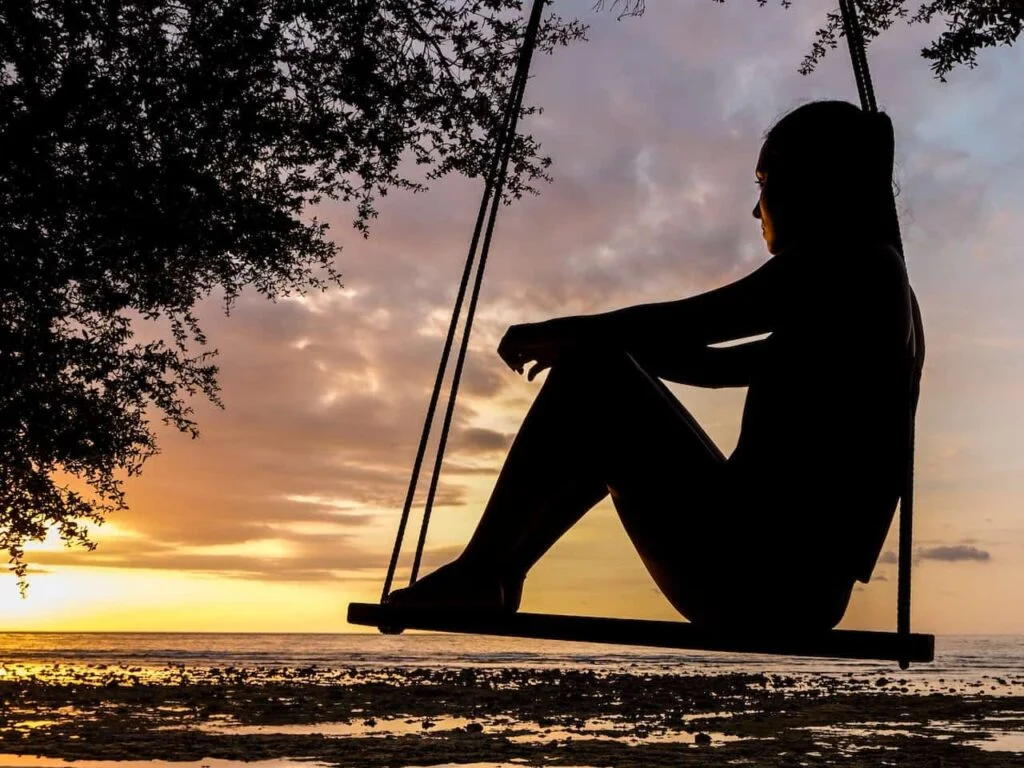 Person in a swing looking at sunset