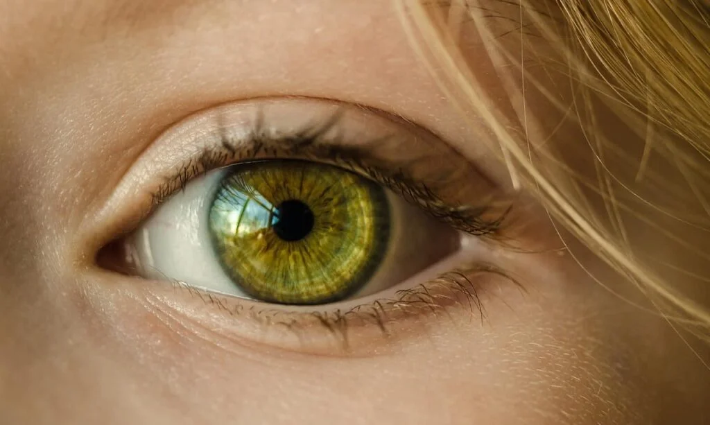 A closeup of a green eye