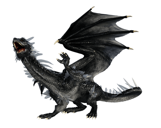 A black dragon on white background