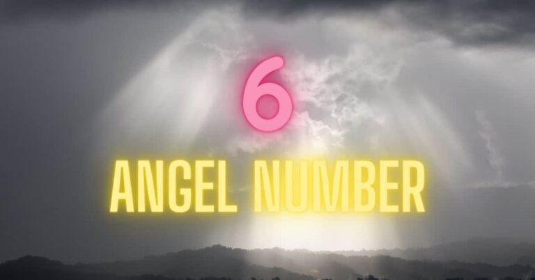 6 angel number