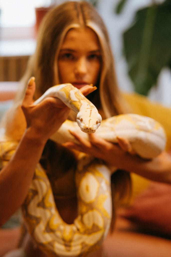 A Woman Holding an Albino Burmese Python