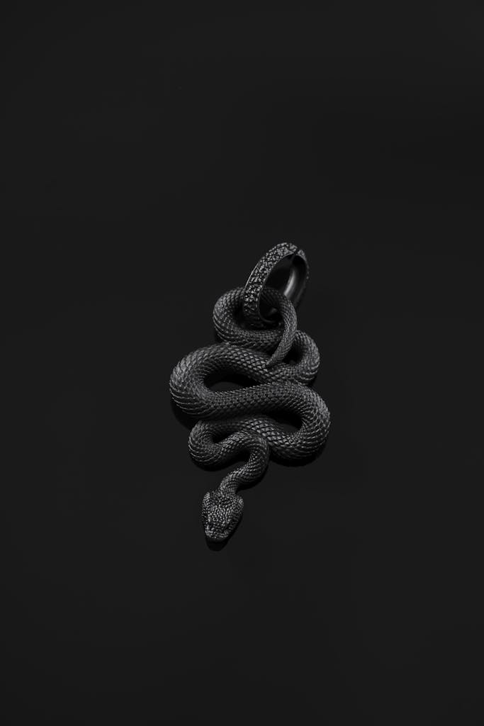 Grayscale Photo of a Snake Pendant