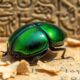 astonishing scarab facts revealed