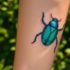 beetle tattoo symbolizes transformation