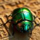 scarab timeless symbol of strength