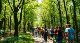 movement facilitates creative insights