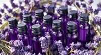 top lavender oil collections