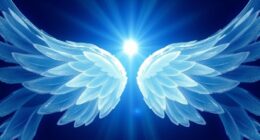 clarity cooperation vision guidance