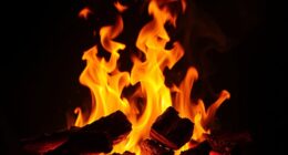 dreams ignite passionate freedom