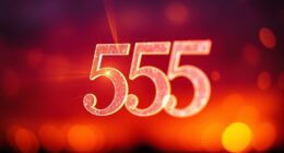 embrace change and transformation