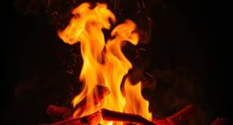 fire signifies passion destruction renewal