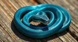 snake symbolizes healing transformation temptation