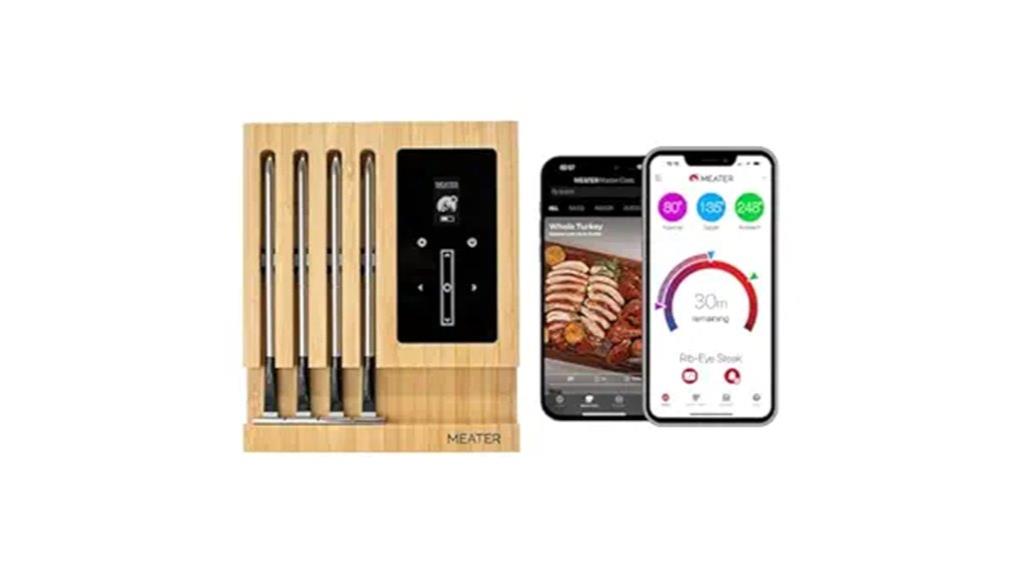 wireless meat thermometer with probes