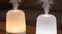 humidifier types comparison