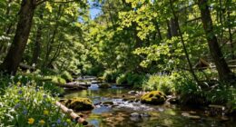 noise type impacts distraction