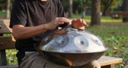 15 Best Handpan Drum Professional in 2026