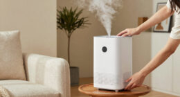 3 Best Best Warm Mist Humidifier Large Room Premium in 2026
