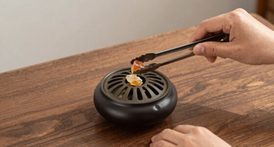 7 Best Best Incense Resin Burner Electric Premium in 2026