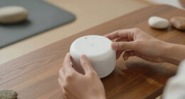 7 Best Portable Speakers for Sound Healing in 2026