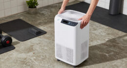 8 Best Dehumidifier for Basement Wellness Room in 2026