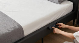 9 Best Smart Bed Frame Adjustable King in 2026