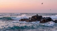 dreaming of vast waters