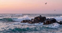 dreaming of vast waters