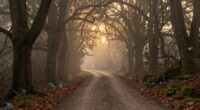journey signifies life s path