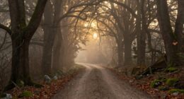 journey signifies life s path