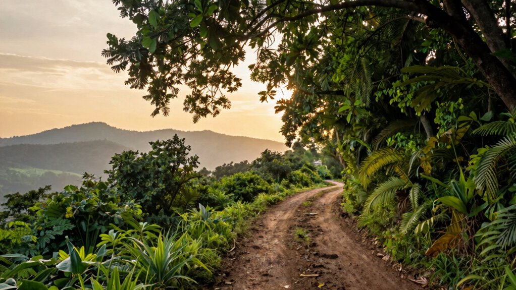 paths journeys cultural transformation