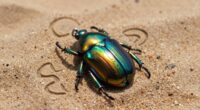 scarab s transformative symbolism