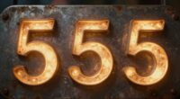 significance of the number 555