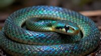 snake dreams symbolize transformation