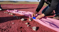 10 Years Later, Magenta Plains Is Still Embracing The Unexpected