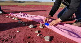 10 Years Later, Magenta Plains Is Still Embracing The Unexpected