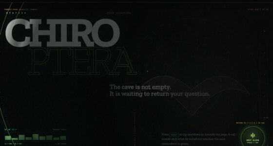 Station Chiroptera — Read the Dark by Echo — Echolocation reveal masking (FABLE/175, room 161)